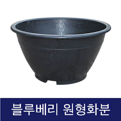 고무다라 원형화분 (블루베리) 500Φ*H330